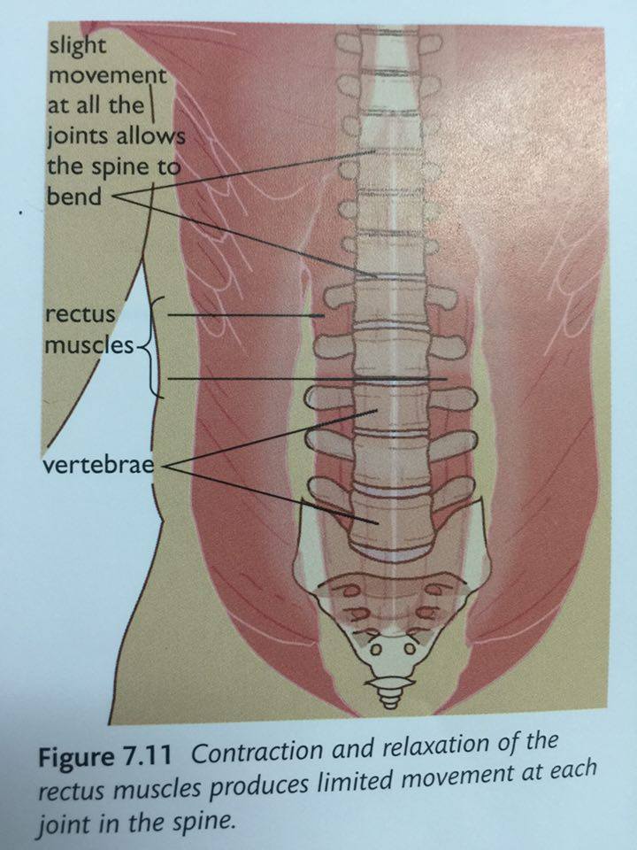 Human Biology EDEXCEL IGCSE - IGCSE Past Papers